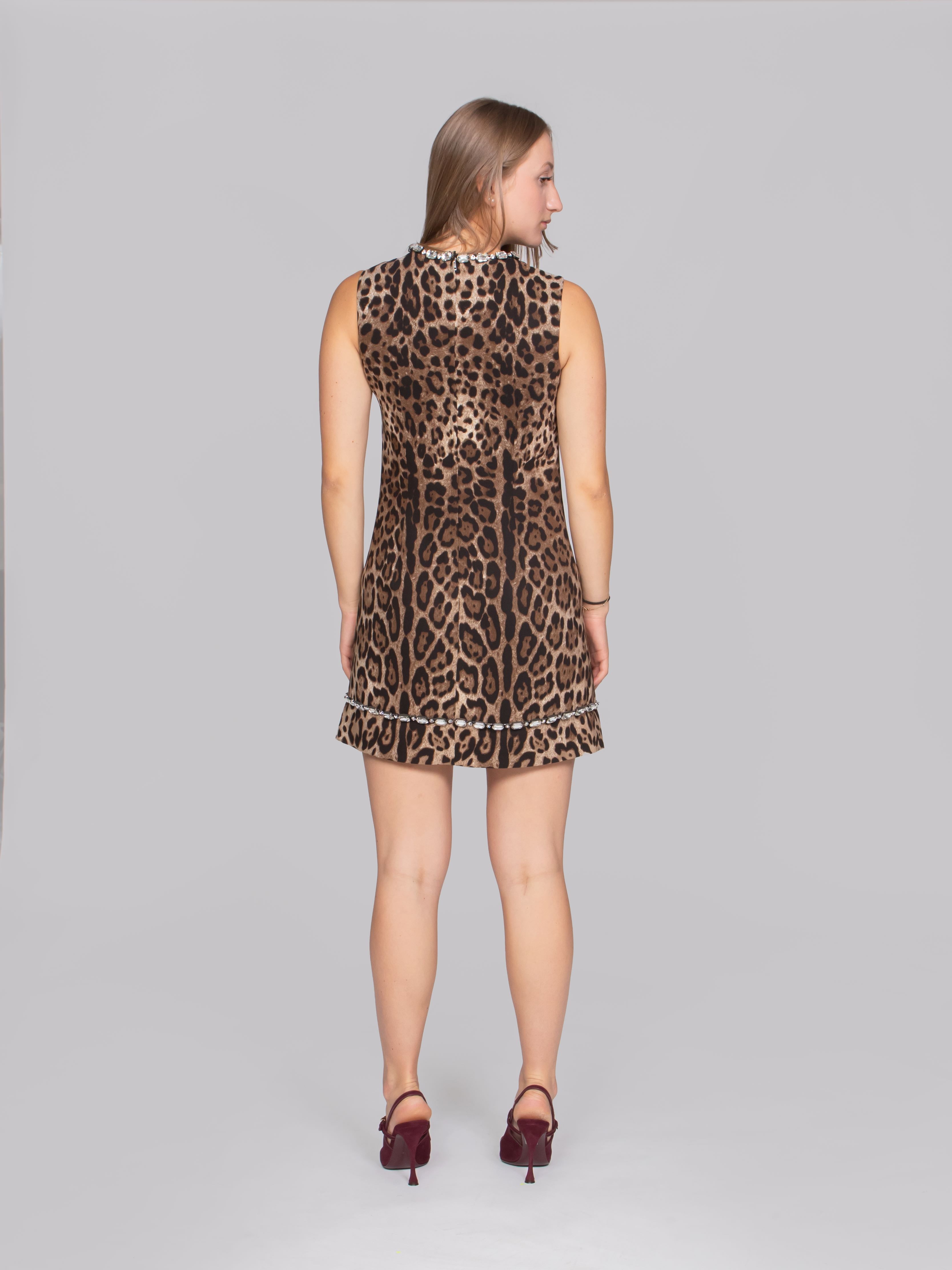 DOLCE & GABBANA ABITO HY13M LEO NEW