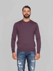 PAOLO PECORA MAGLIA GIROCOLLO 4549 VIOLA