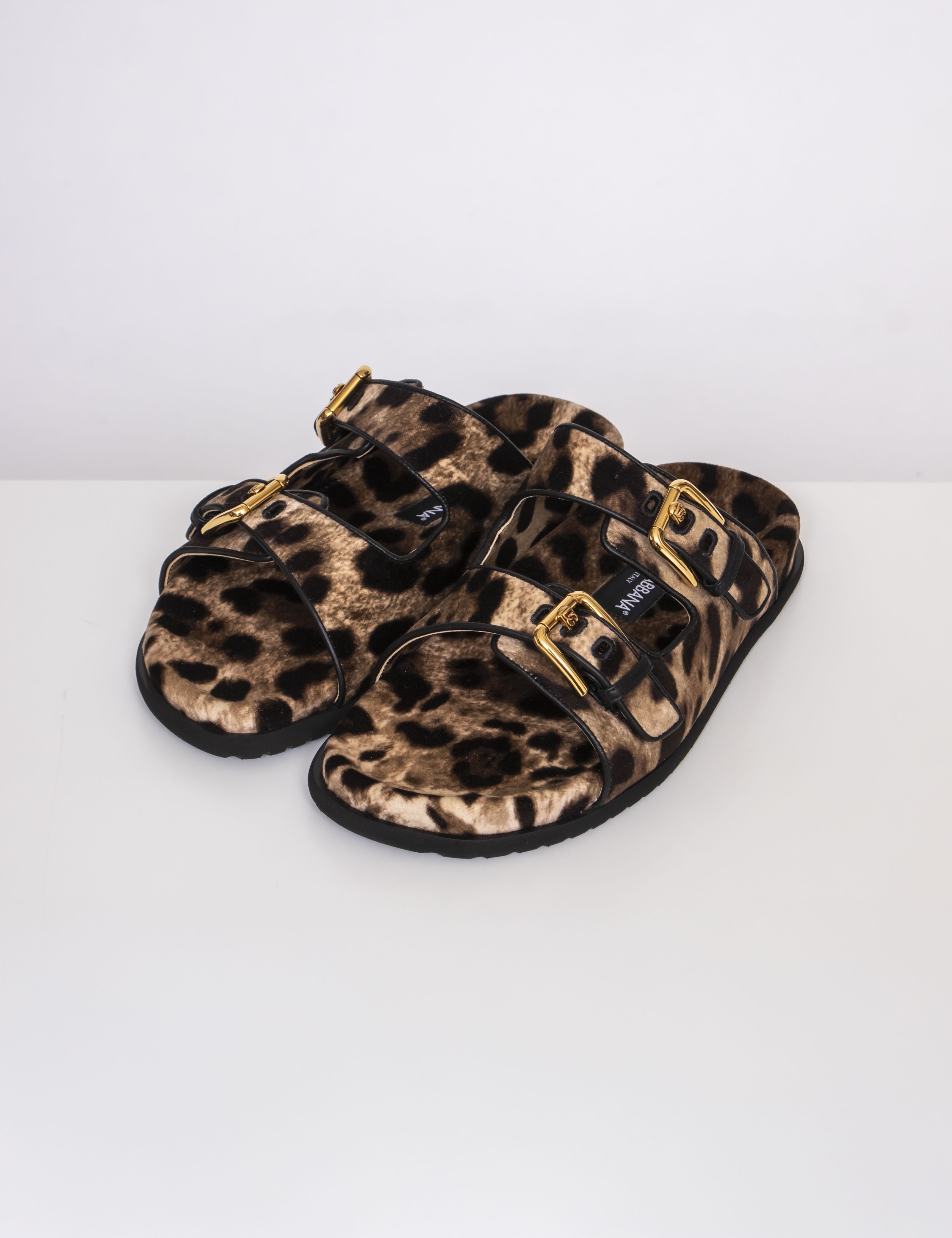 Dolce & Gabbana Ciabatta Flat HY13M LEO NEW