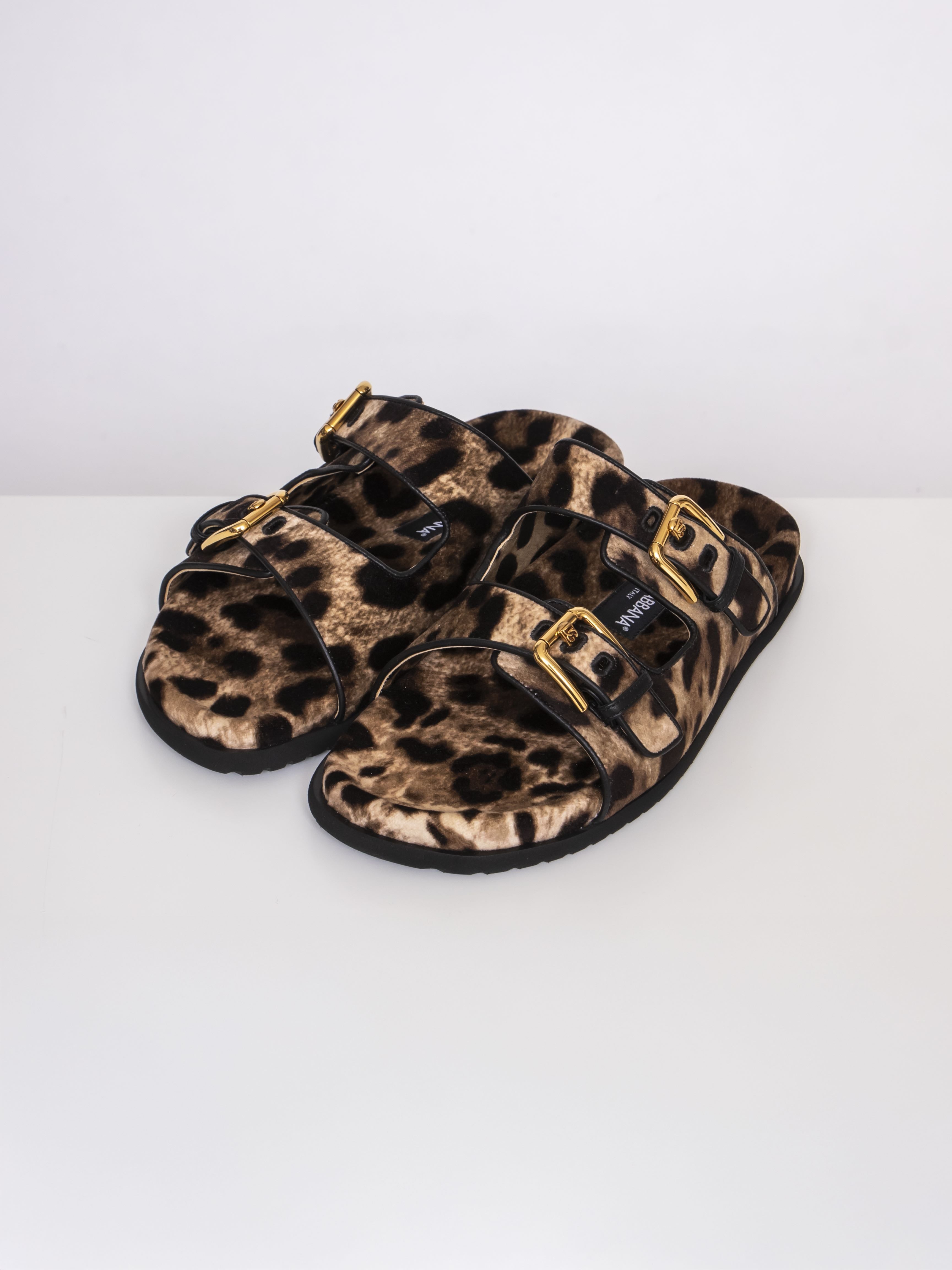 Dolce & Gabbana Ciabatta Flat HY13M LEO NEW