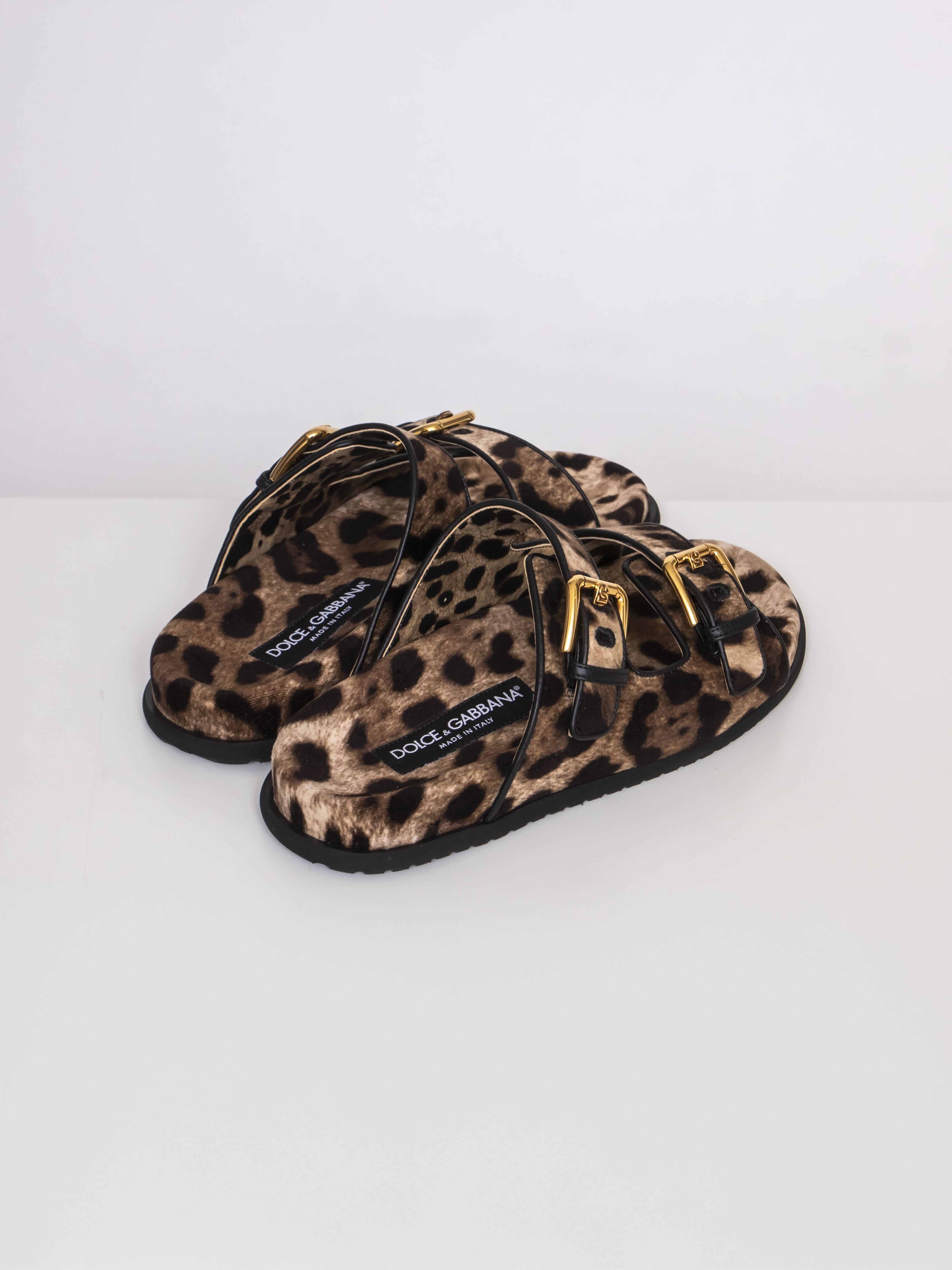 Dolce & Gabbana Ciabatta Flat HY13M LEO NEW