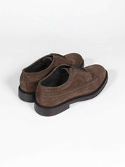 Doucals Derby Coda Di Rondine TC05 HAVANA+F.DO T.MORO