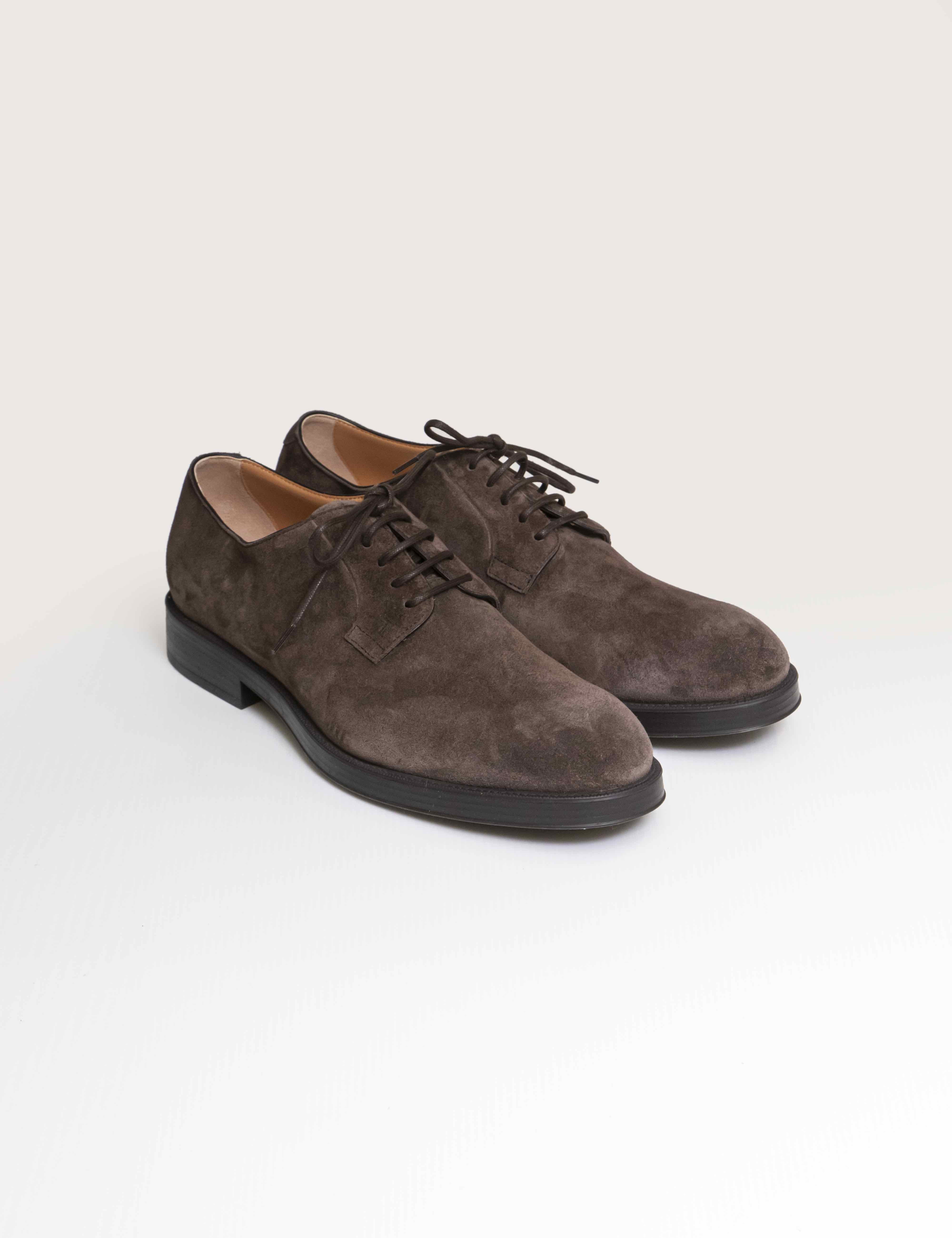 Tods Derby S800 TESTA DI MORO