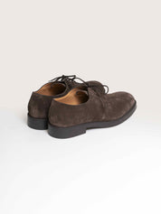 Tods Derby S800 TESTA DI MORO