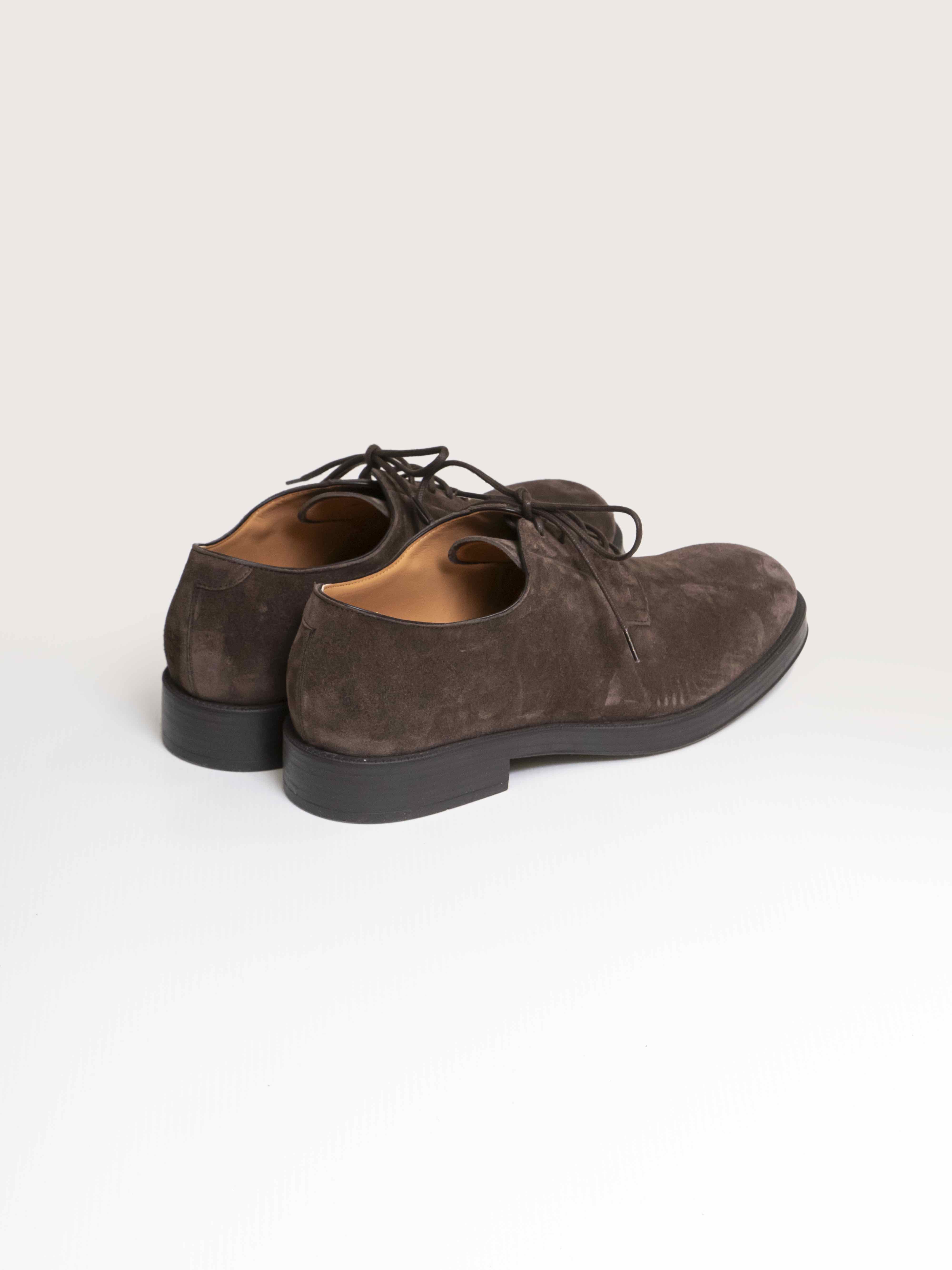 Tods Derby S800 TESTA DI MORO